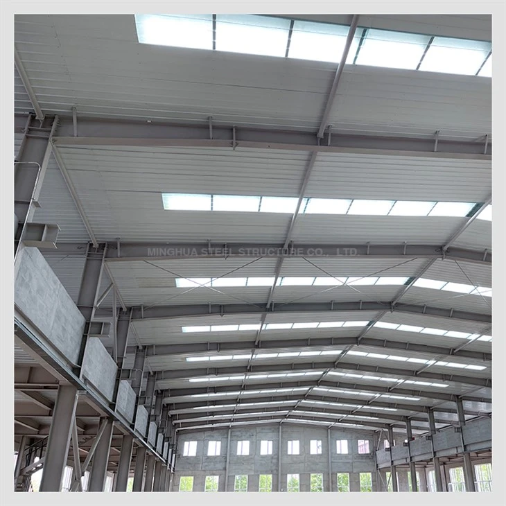Steel Structure Electronic Workshop Steel Structure Electronic Workshop