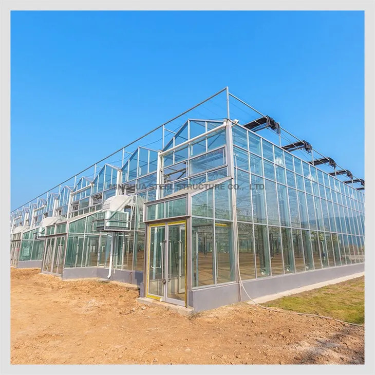Steel Structure Vegetable Greenhouse